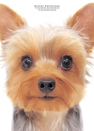 4346c049cb_4799816_o2